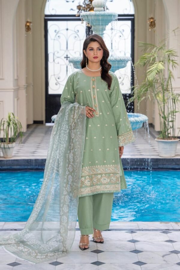 Embroidered Dobby Cotton-0010